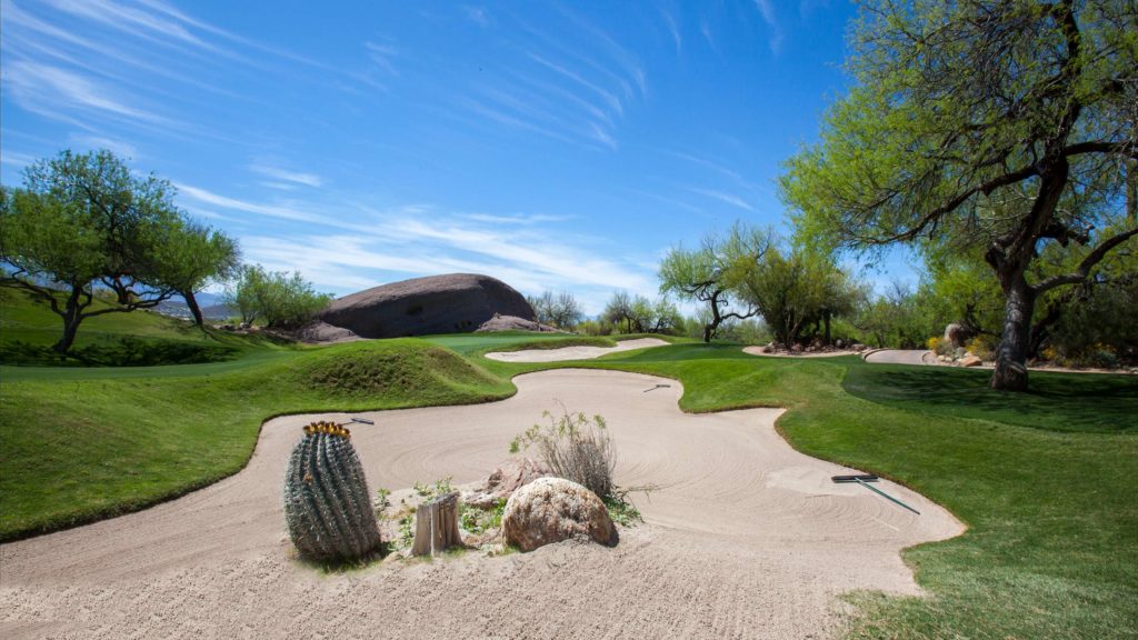 Sand trap with cacti